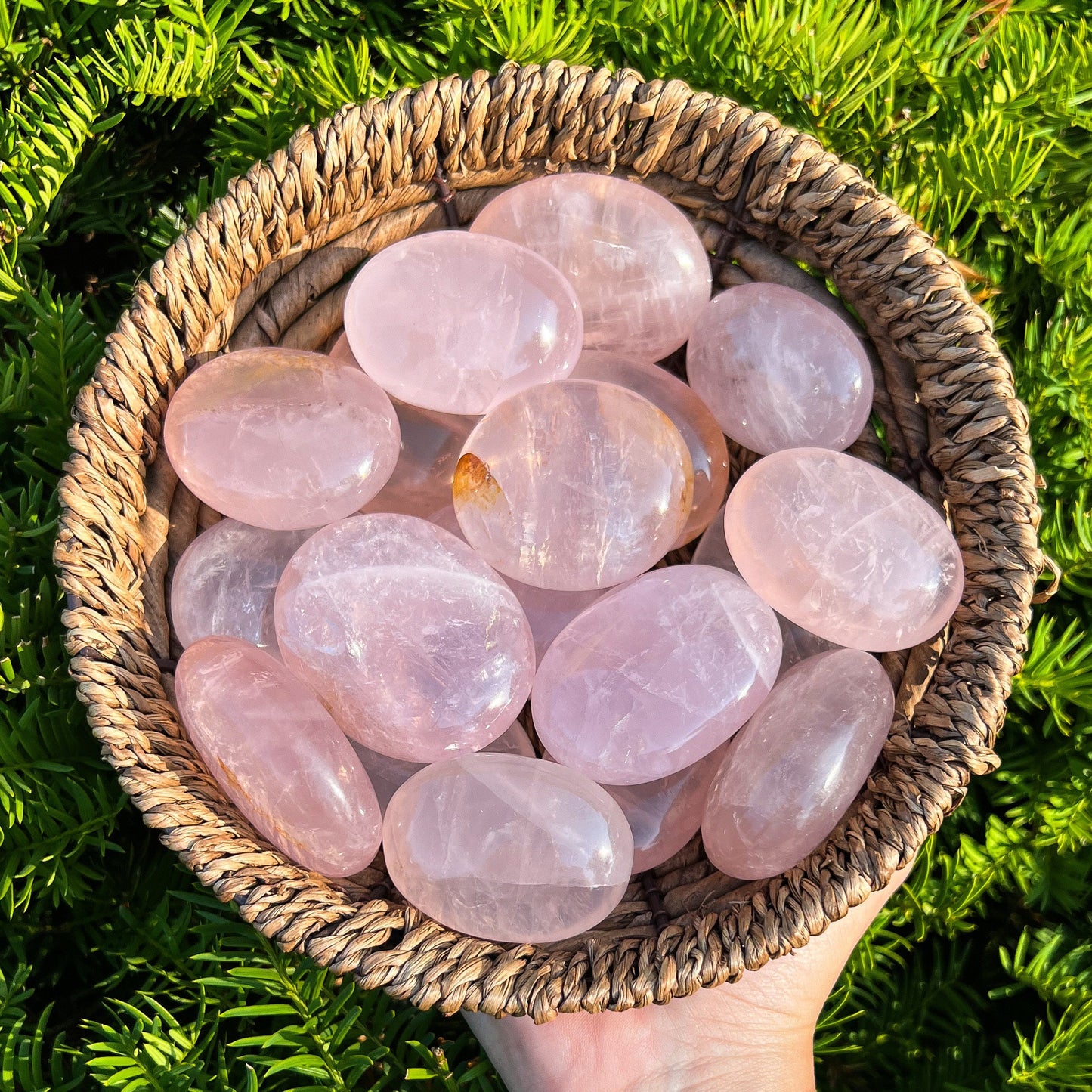Girasol Rose Quartz Palm Stones