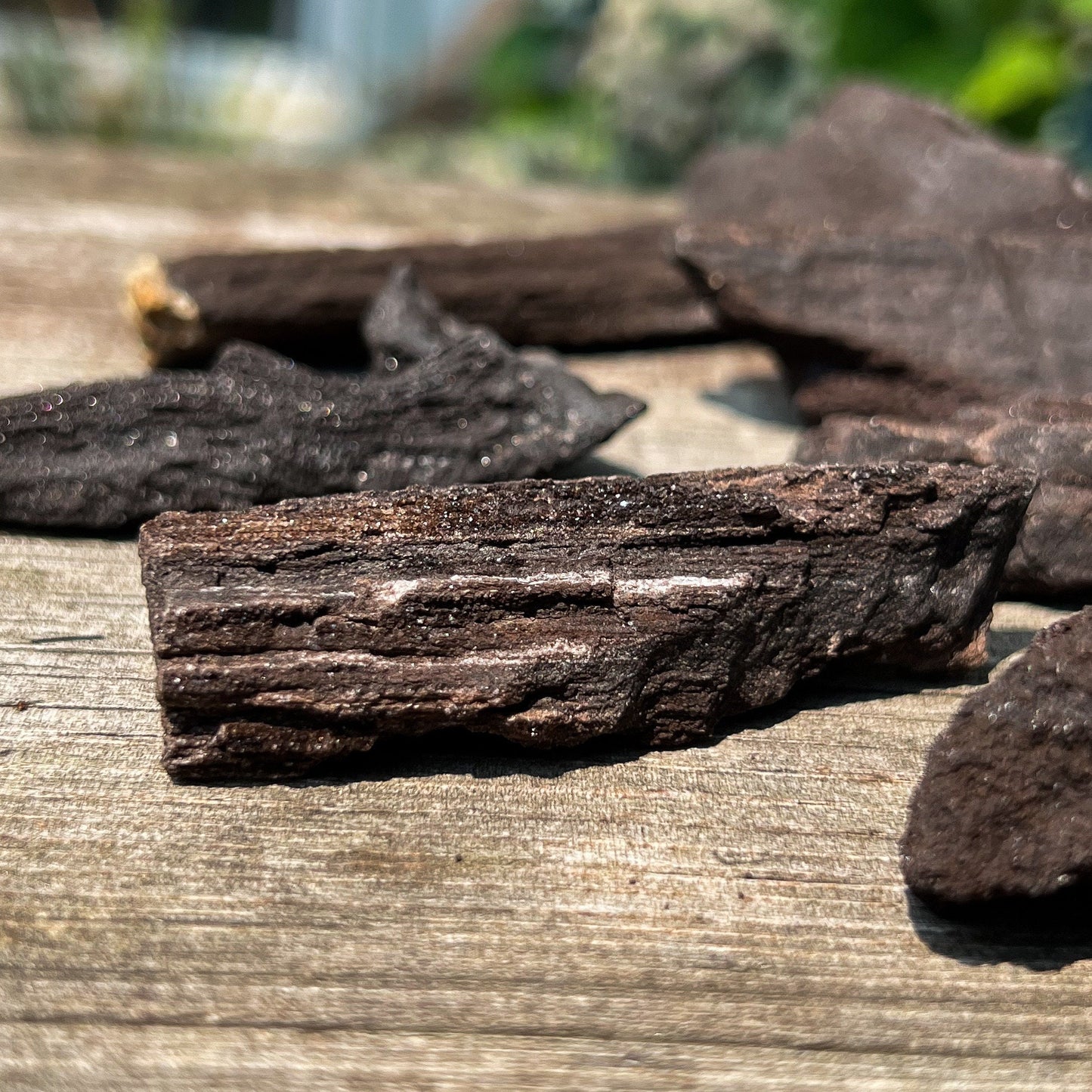 Fossilized Druzy Wood