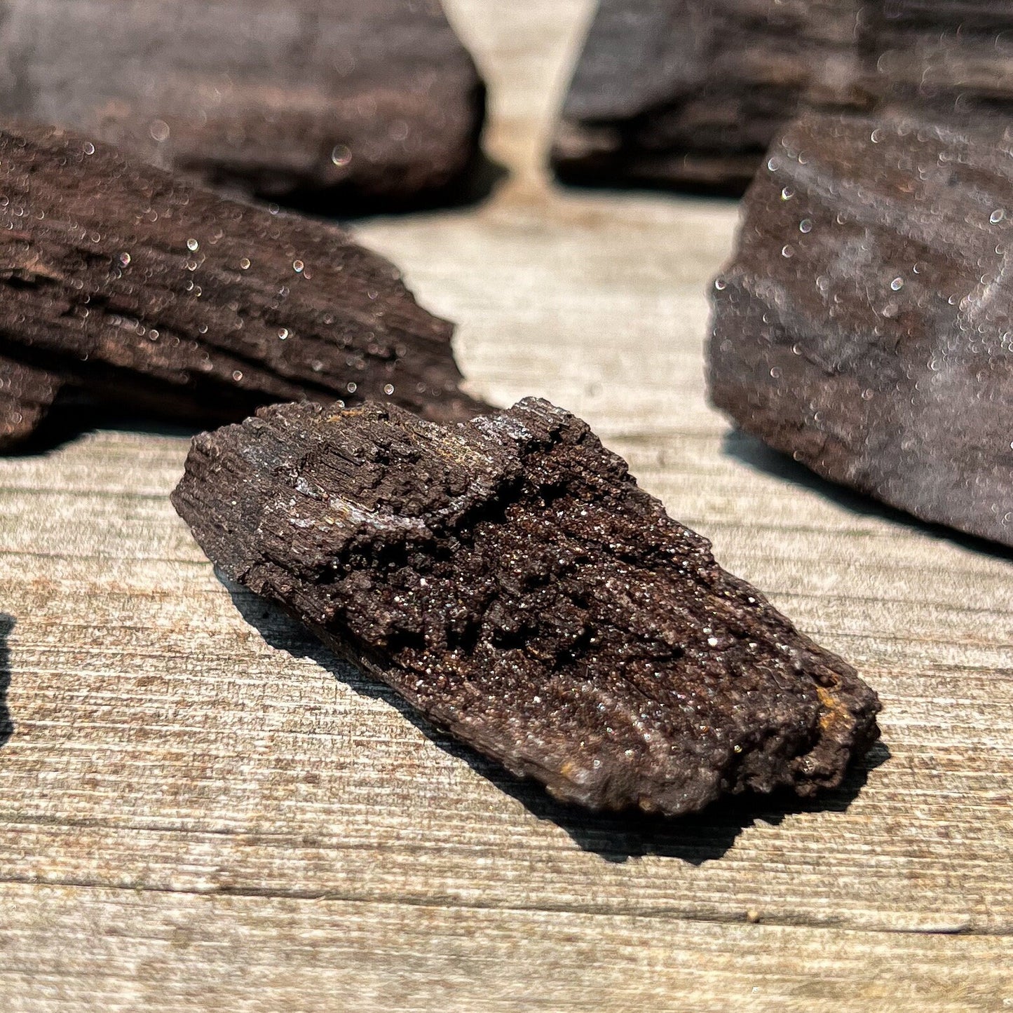 Fossilized Druzy Wood