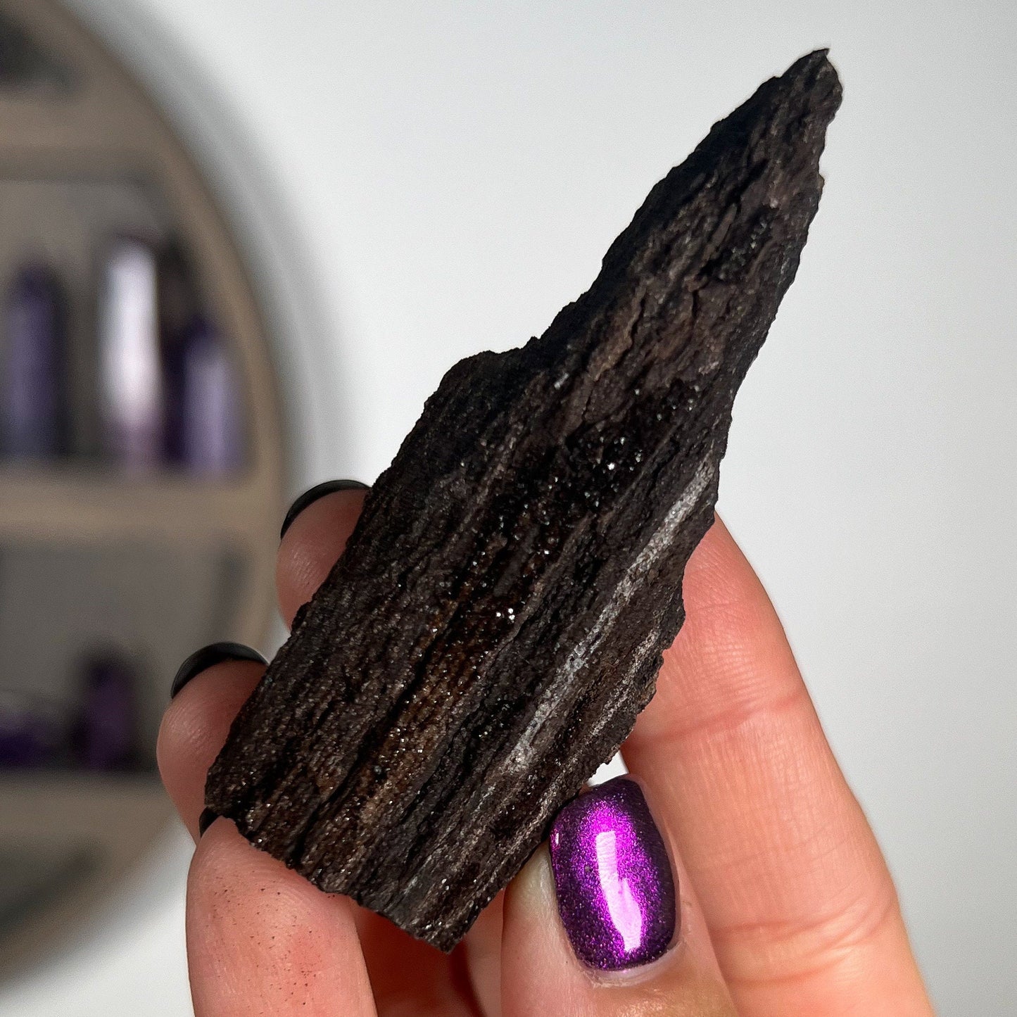 Fossilized Druzy Wood
