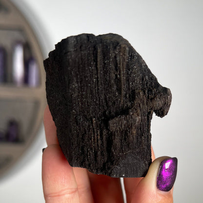 Fossilized Druzy Wood