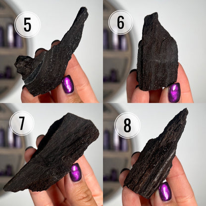 Fossilized Druzy Wood