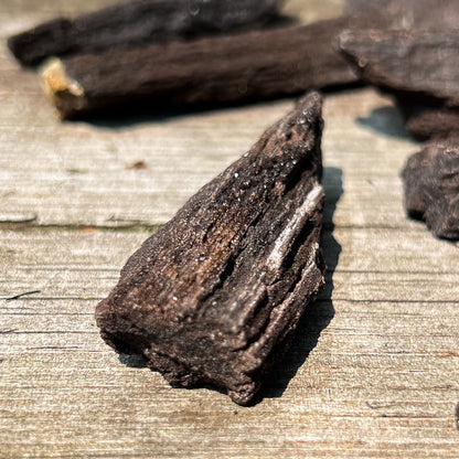 Fossilized Druzy Wood