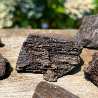 Fossilized Druzy Wood