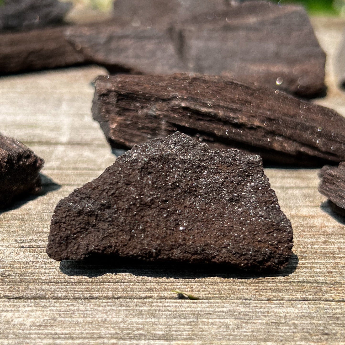 Fossilized Druzy Wood