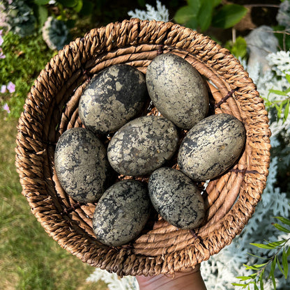 Black Pyrite Quartz Palm Stones