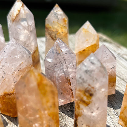 Pyrite in Rose Quartz Golden Healer Points