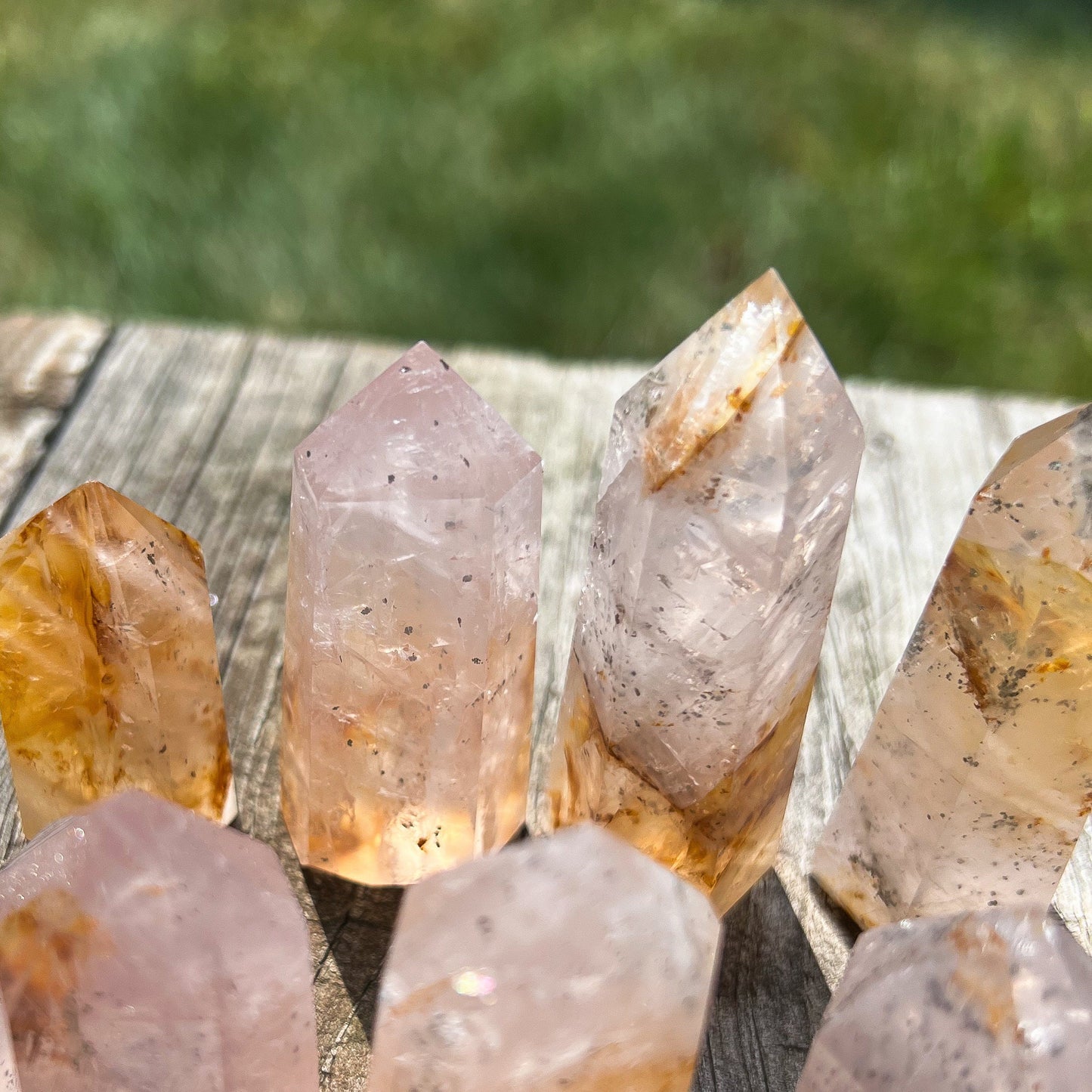 Pyrite in Rose Quartz Golden Healer Points
