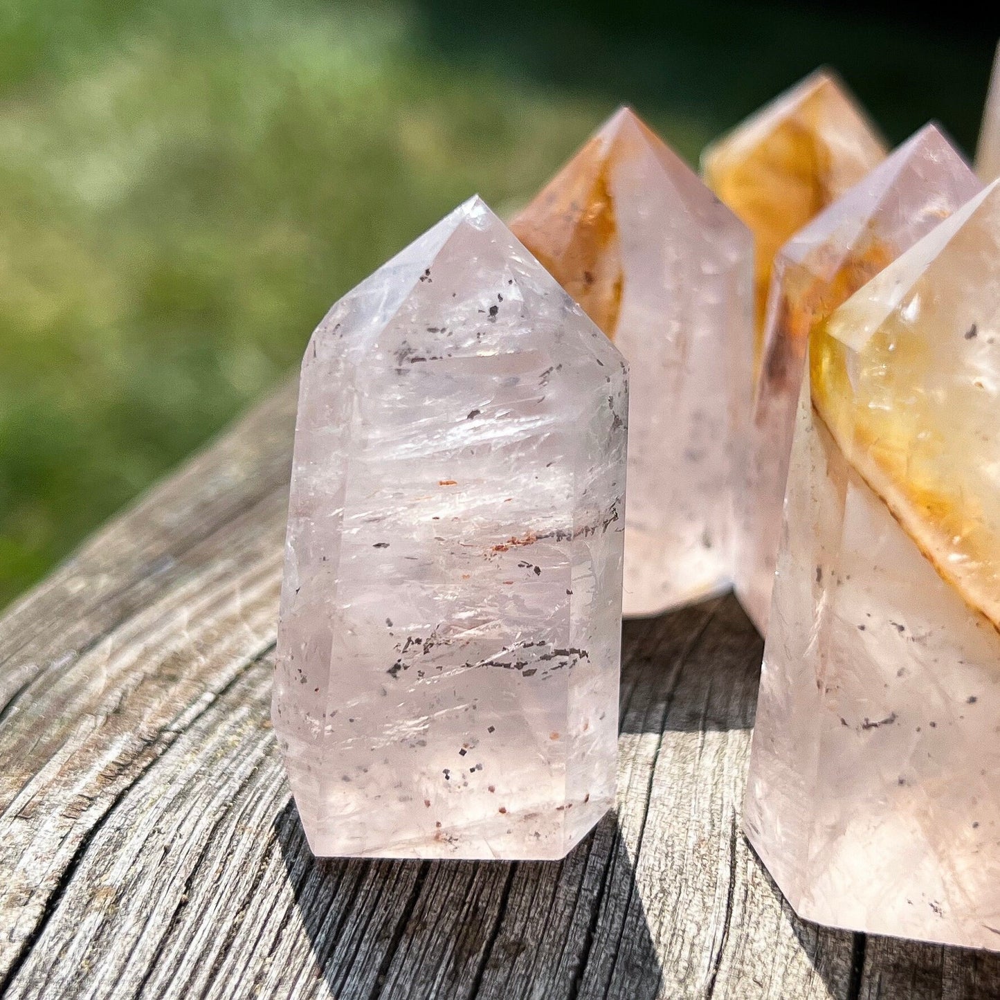 Pyrite in Rose Quartz Golden Healer Points