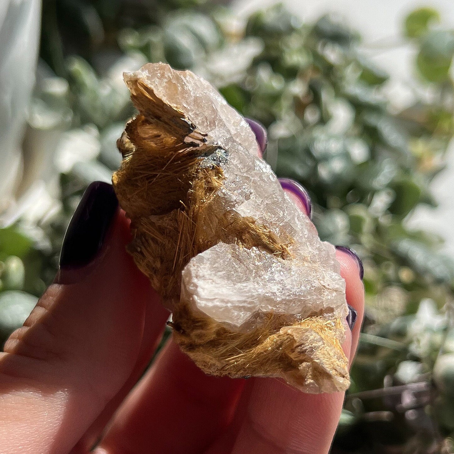 Exposed Gold Rutilated Quartz