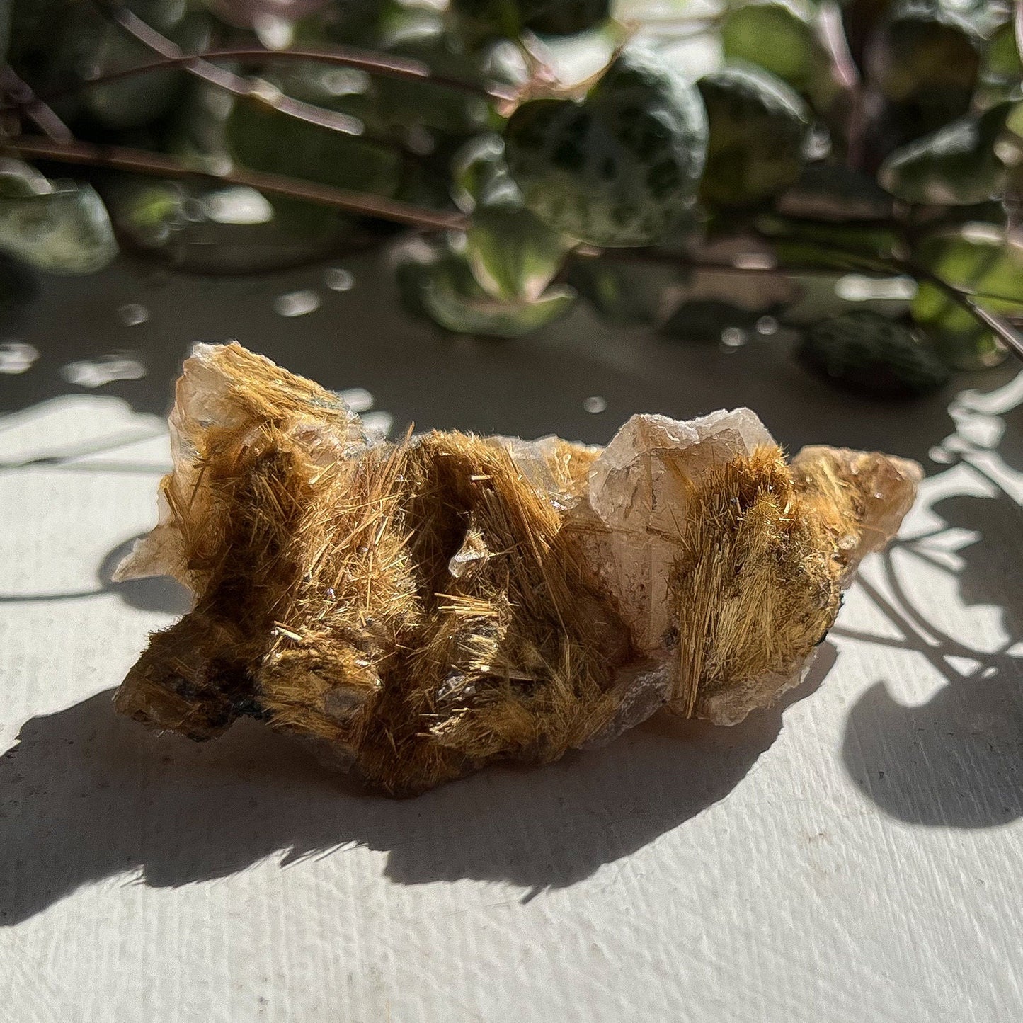 Exposed Gold Rutilated Quartz
