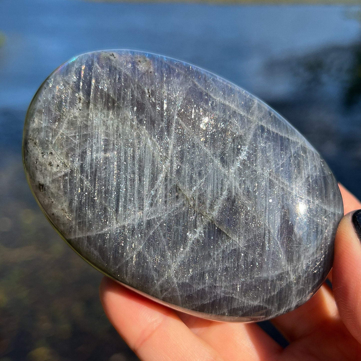 XL Purple Blue Labradorite