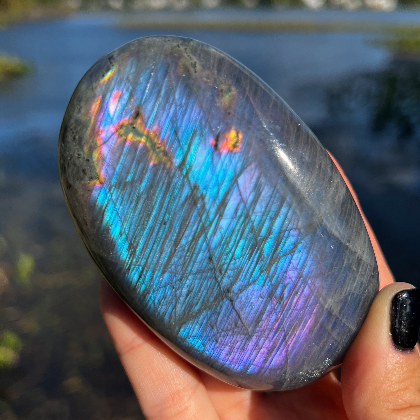 XL Purple Blue Labradorite