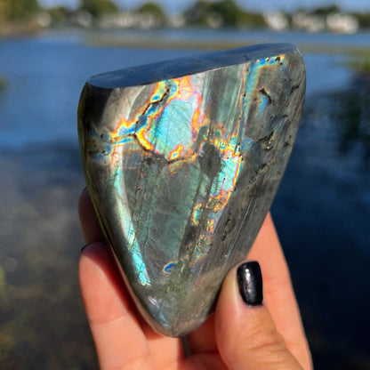 Spectrolite Freeform