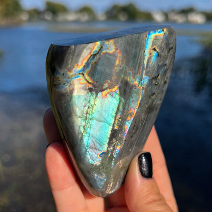 Spectrolite Freeform