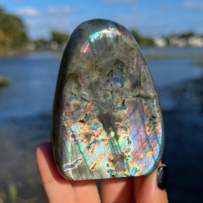 Spectrolite Freeform