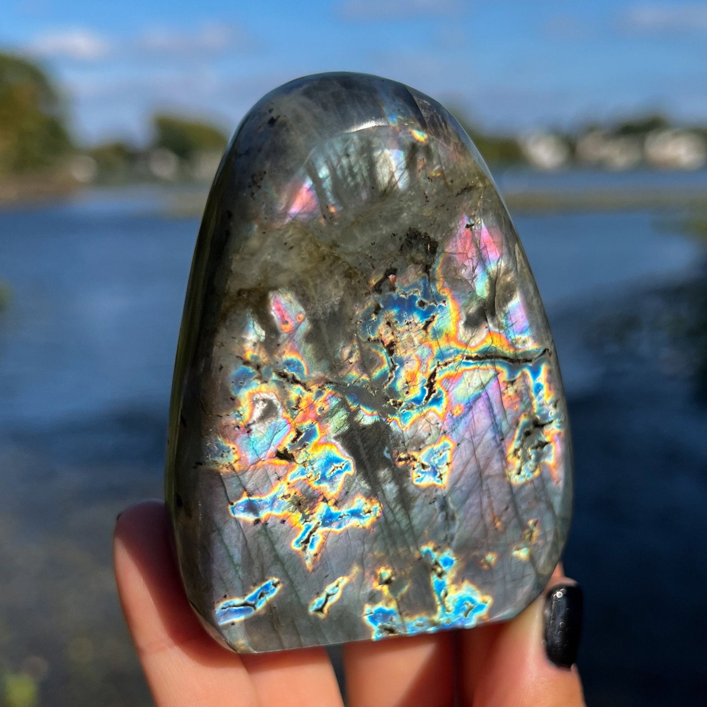 Spectrolite Freeform