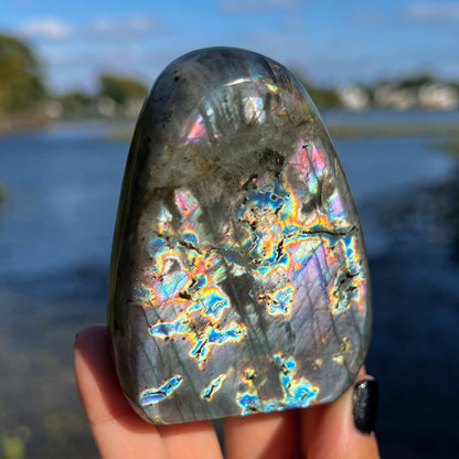 Spectrolite Freeform