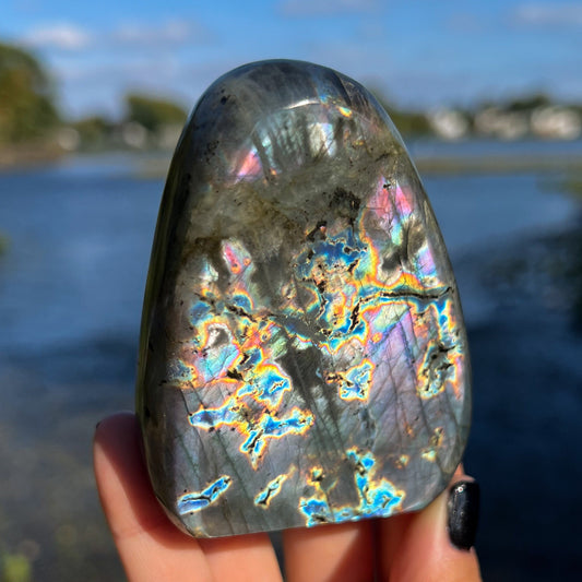 Spectrolite Freeform