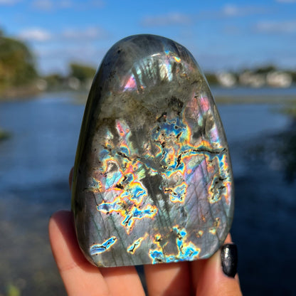 Spectrolite Freeform