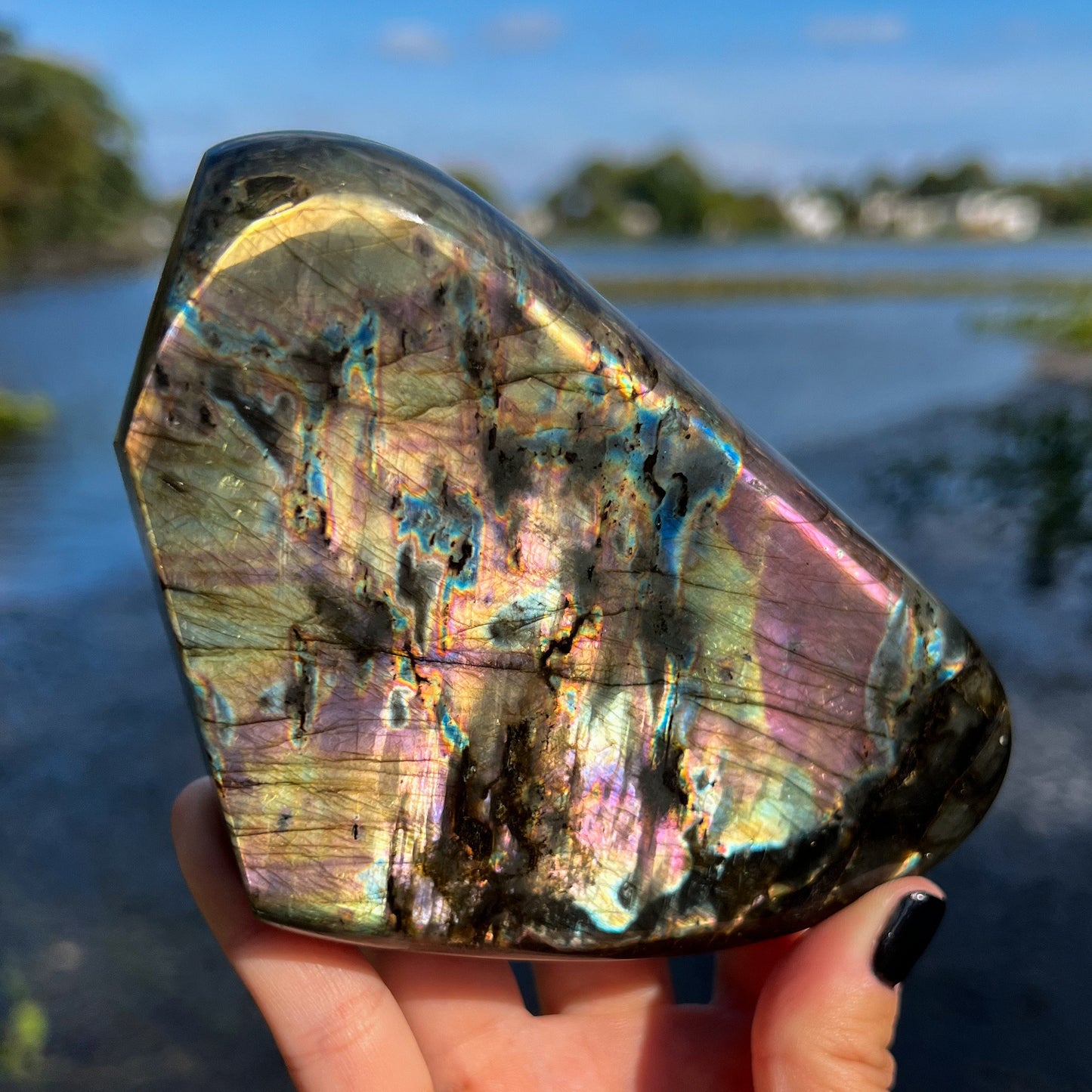 Spectrolite Freeform