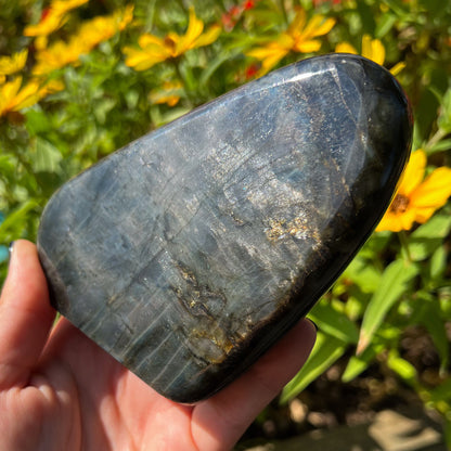 Spectrolite Freeform
