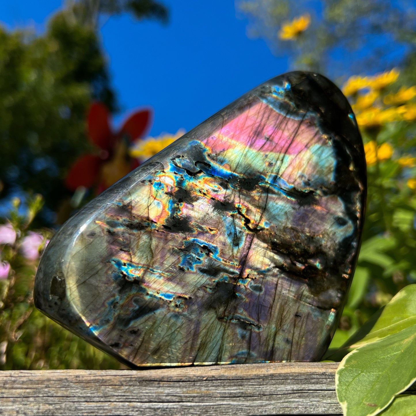 Spectrolite Freeform