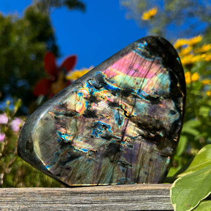 Spectrolite Freeform