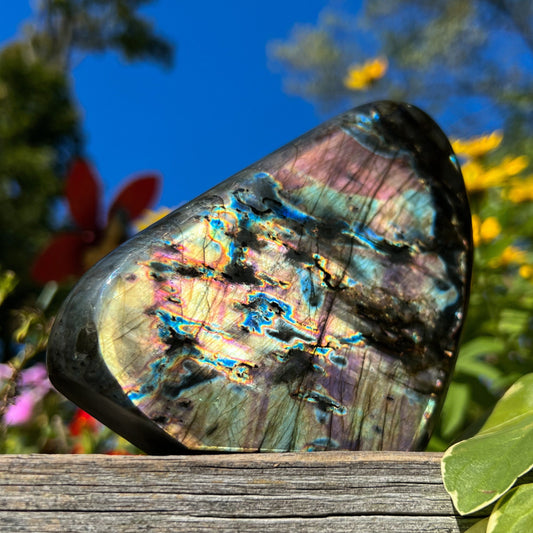Spectrolite Freeform