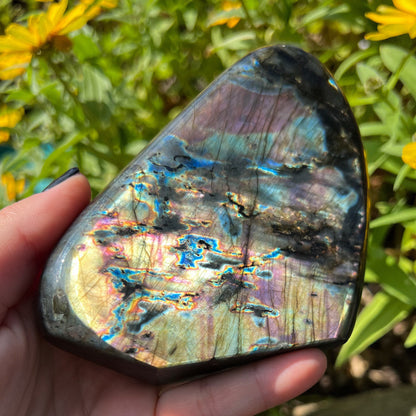Spectrolite Freeform