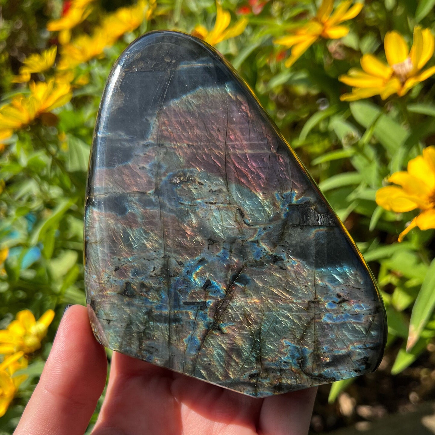 Spectrolite Freeform