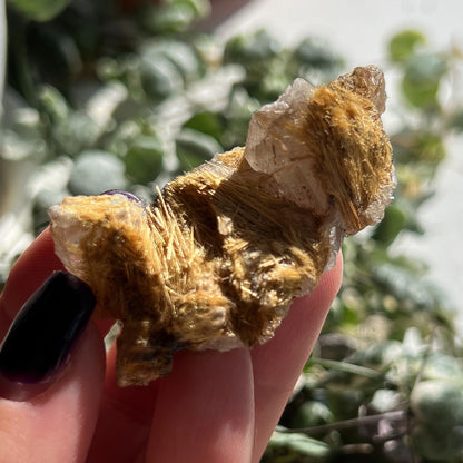 Exposed Gold Rutilated Quartz