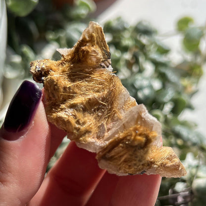Exposed Gold Rutilated Quartz