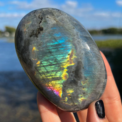 XL Purple Blue Labradorite
