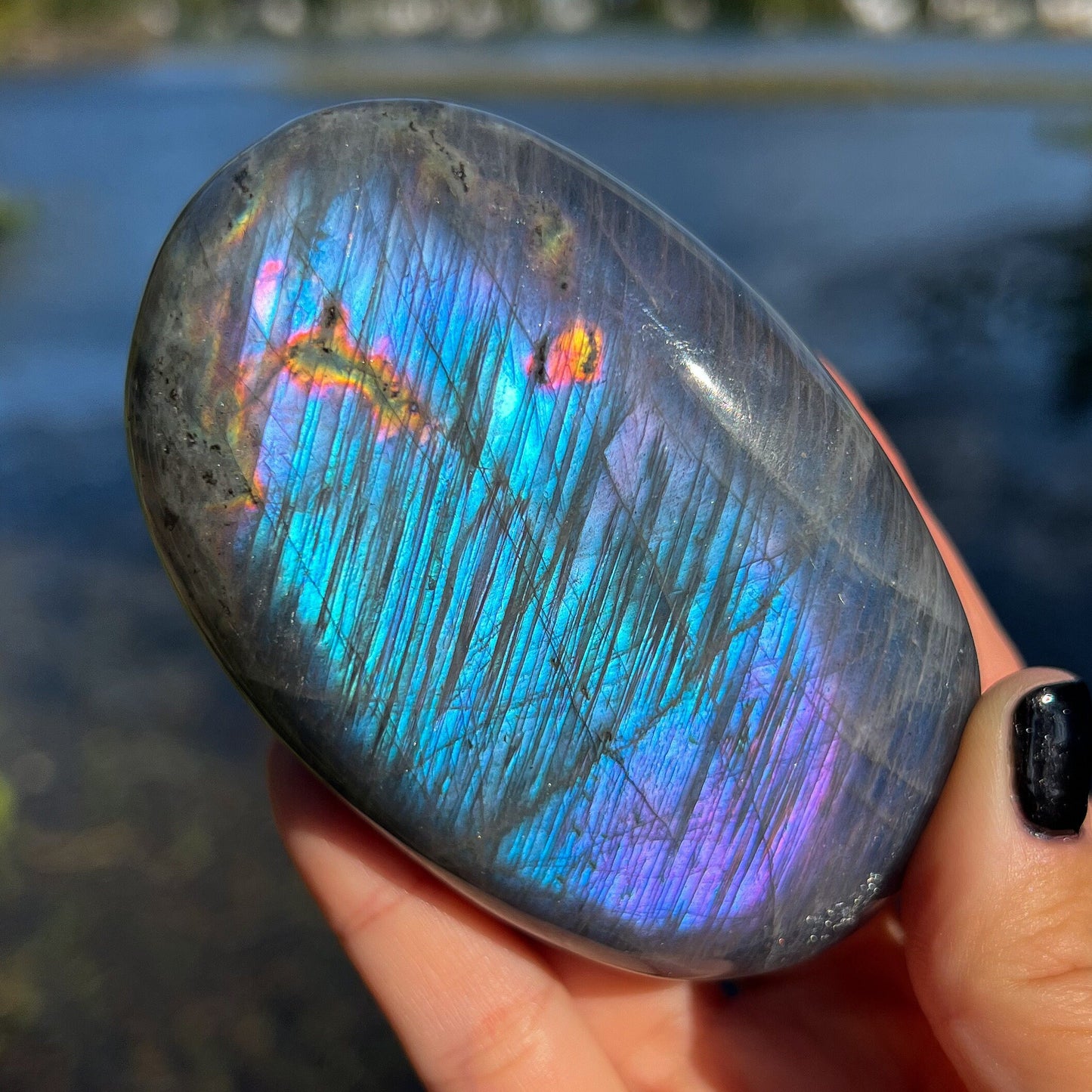 XL Purple Blue Labradorite