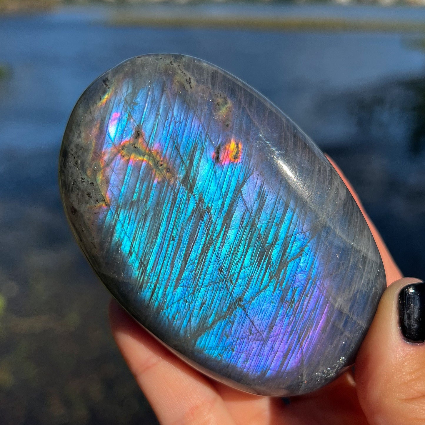 XL Purple Blue Labradorite