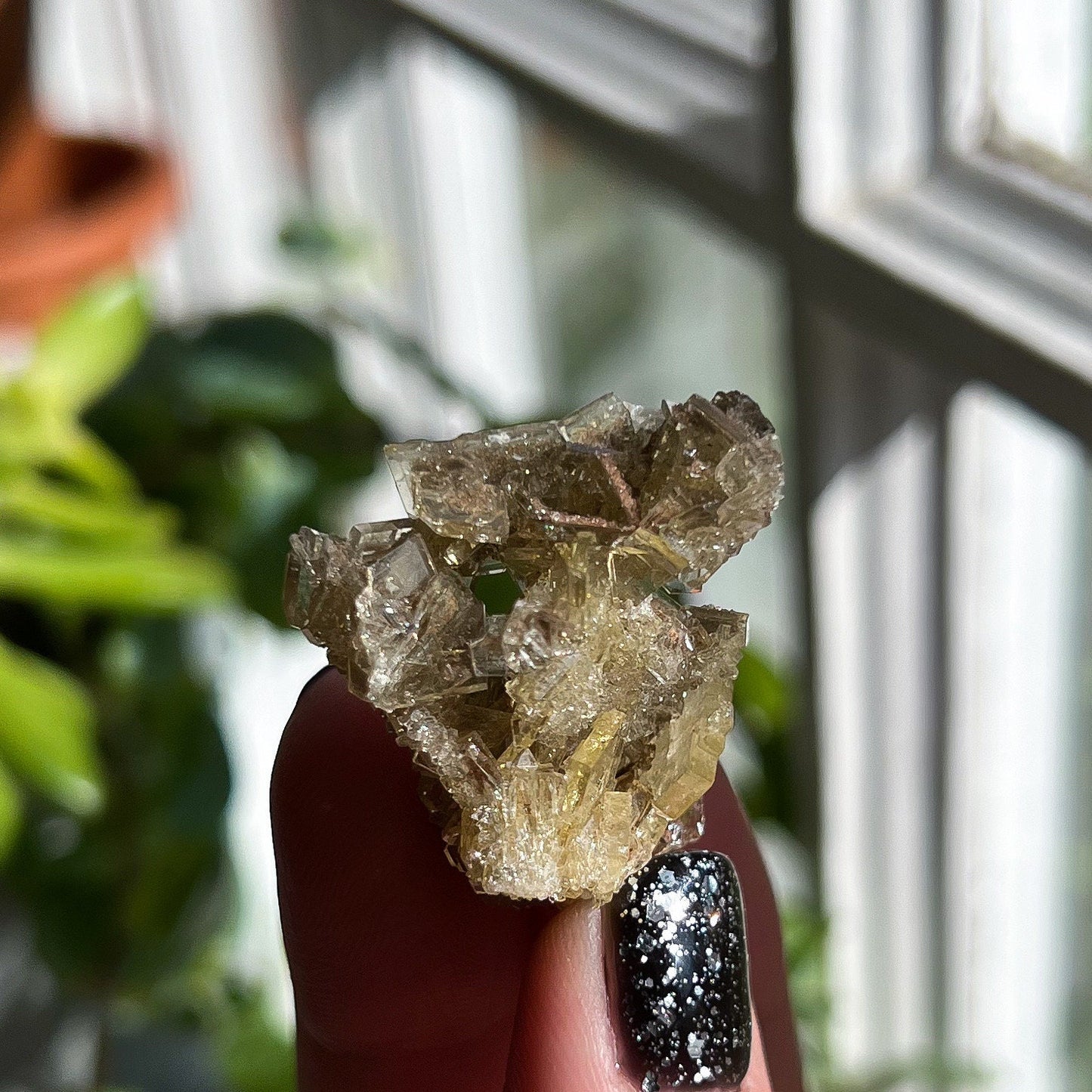 Golden Barite Clusters