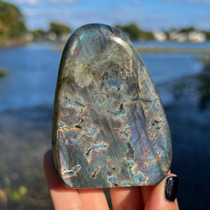 Spectrolite Freeform
