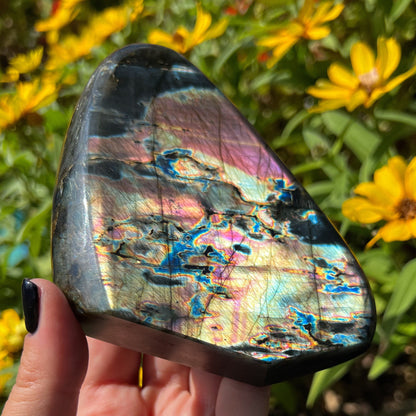 Spectrolite Freeform