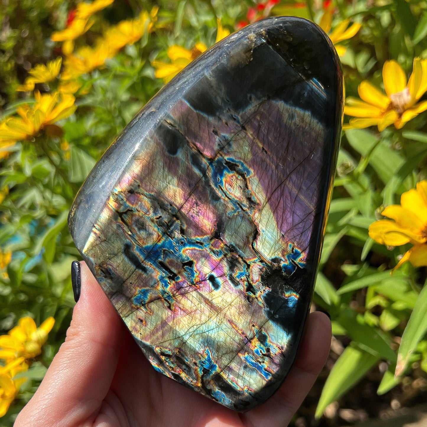 Spectrolite Freeform
