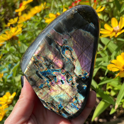 Spectrolite Freeform