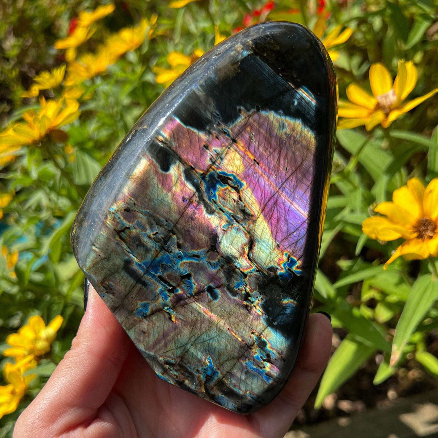 Spectrolite Freeform
