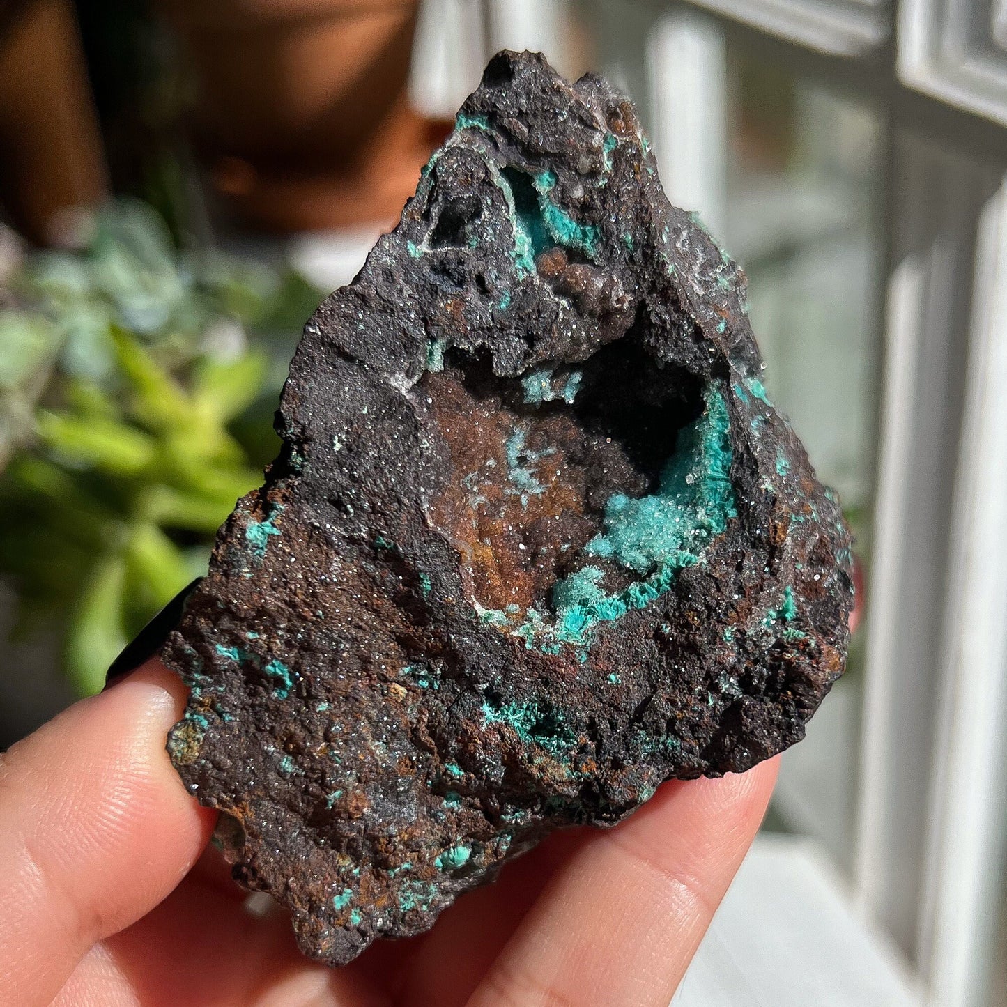 Druzy Chrysocolla Malachite