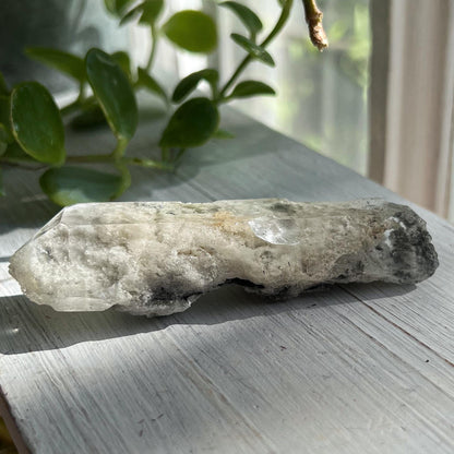 Corinto Garden Quartz Crystal, with Tourmaline Hairs