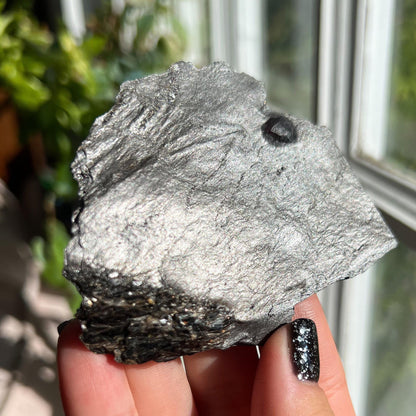 Large Garnet in Graphite