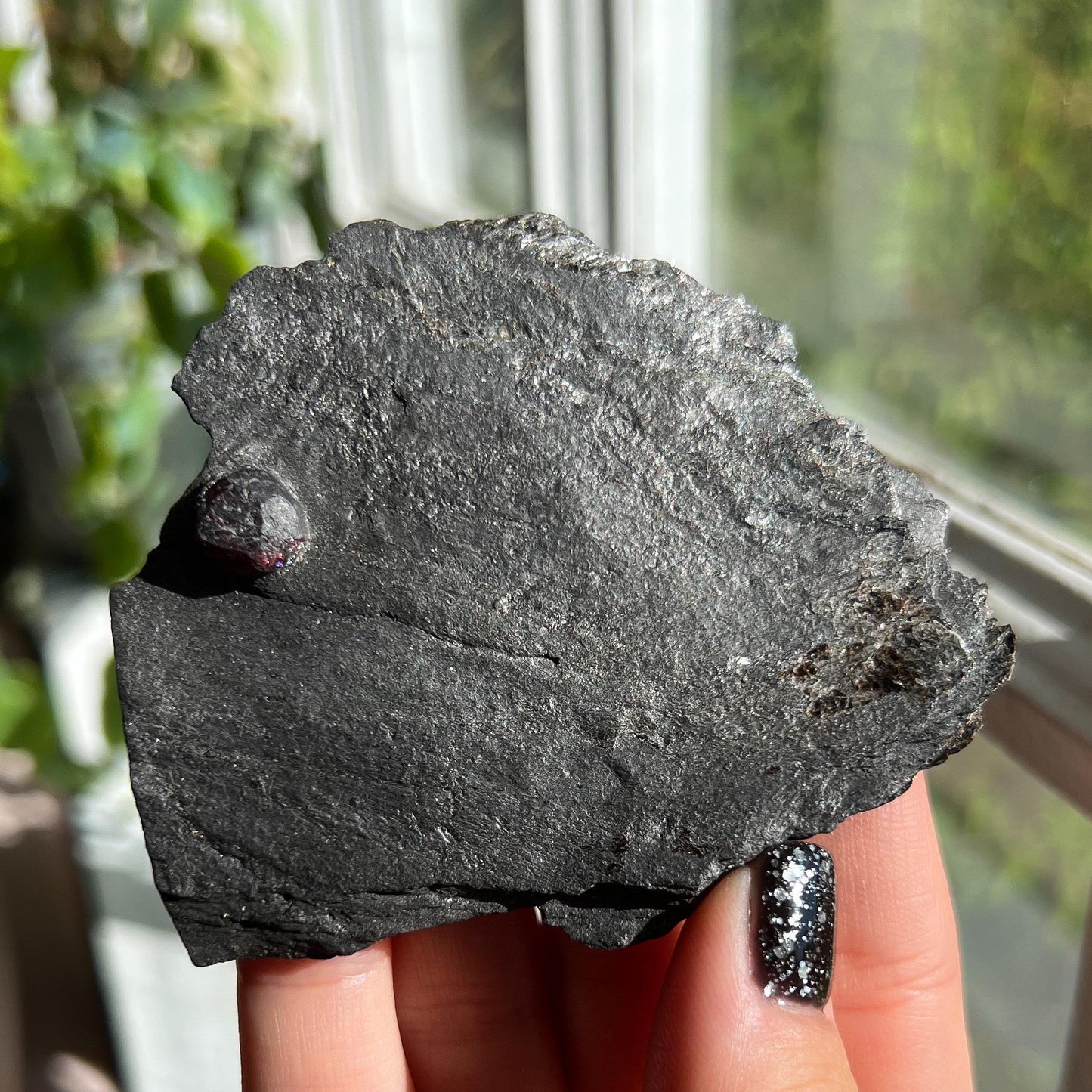 Large Garnet in Graphite