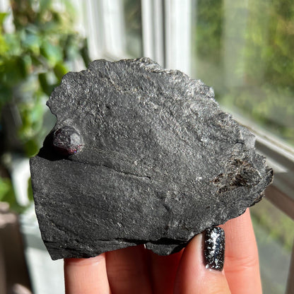 Large Garnet in Graphite