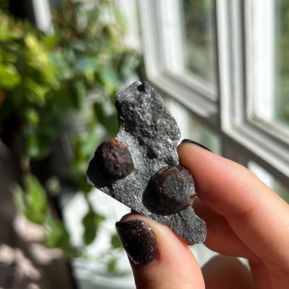 Small Garnet in Graphite