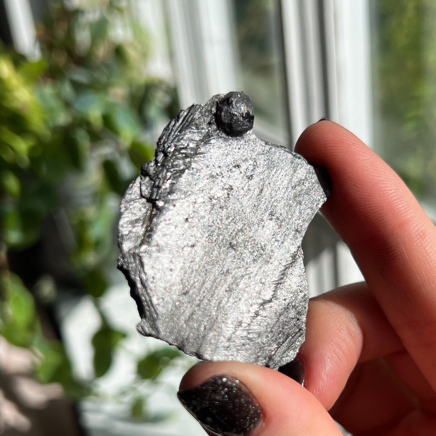 Small Garnet in Graphite