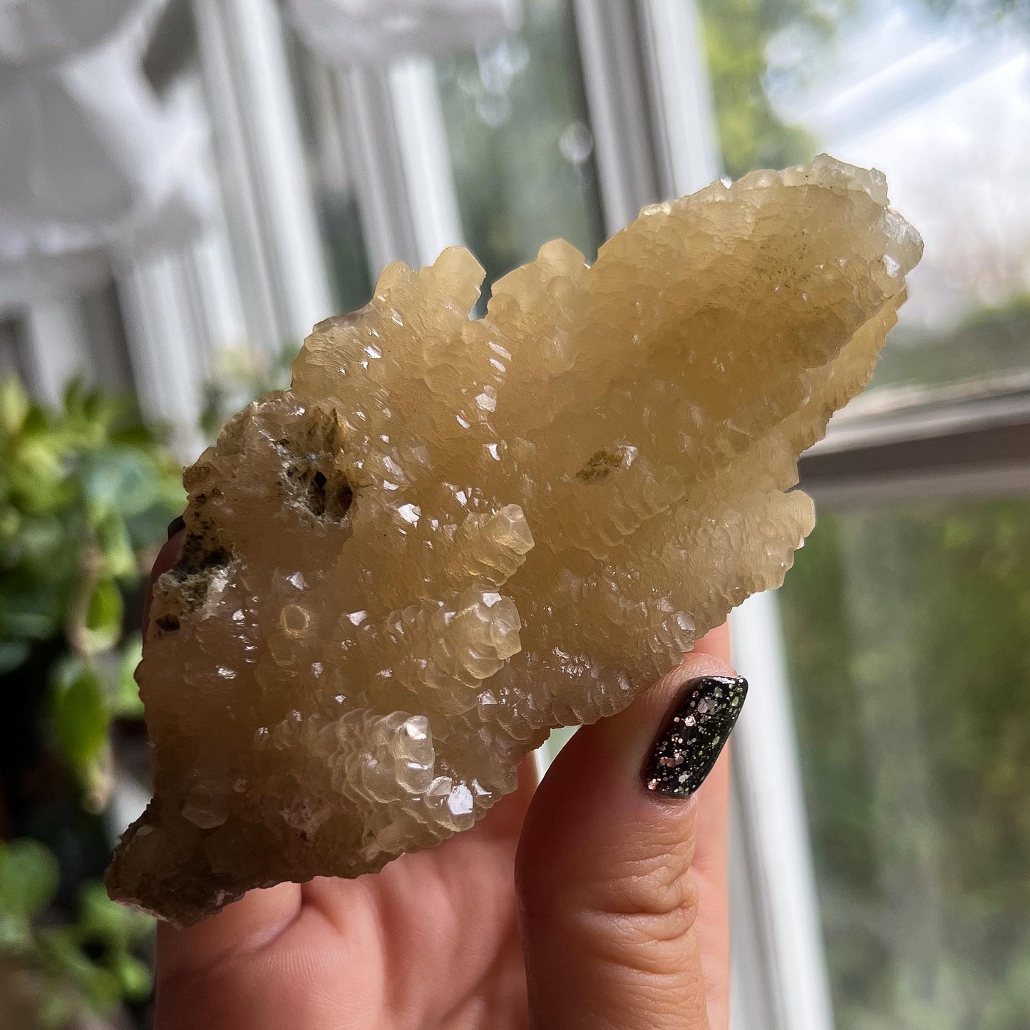 Feather Leaf Calcite Specimen